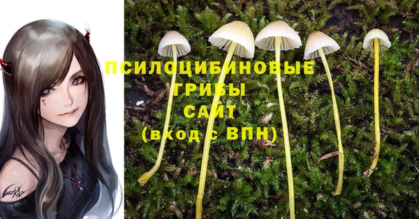 меф VHQ Новозыбков